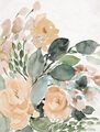 Image Not Available